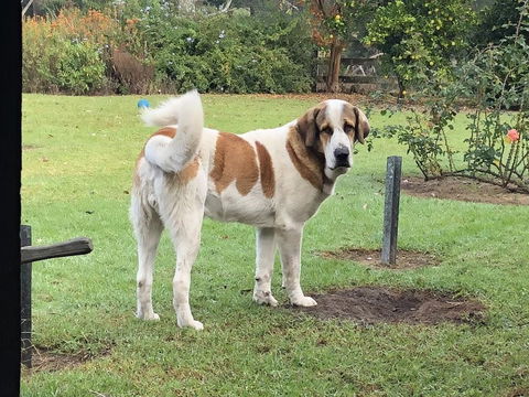 Gzone Farmstay - Seniors Australia 1