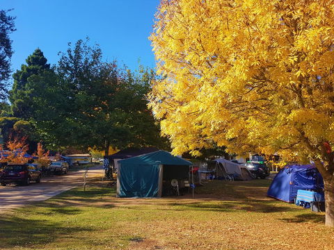 Jamieson Caravan Park - Seniors Australia 2