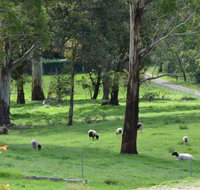 JAN'S ART STUDIO AT ASHBY RISE - Seniors Australia