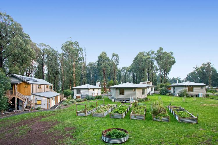  Seniors Australia