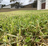 Karoonda Accommodation - Seniors Australia