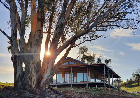 Kestrel Nest EcoHut - Seniors Australia 0