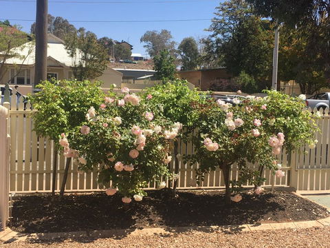 Maeville Cottage - Seniors Australia 3