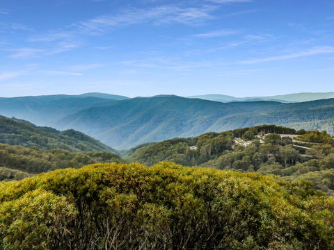 MarkII 4 West - Seniors Australia 2