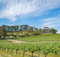 McLaren Vale Getaways - Seniors Australia