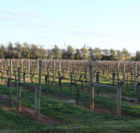 Milawa Vineyard Views - Guesthouse 2 - Seniors Australia