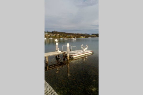 Narooma House With A View - Seniors Australia 1