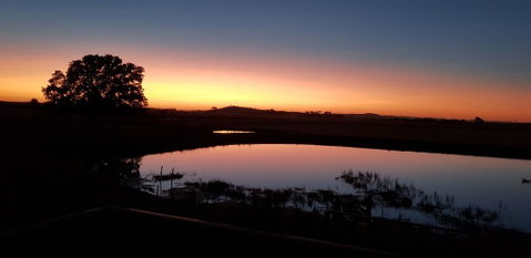 New Horizons Farm Stay - Seniors Australia 1