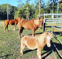 Paskins Farm - Seniors Australia