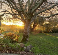 Peg Cottage - Seniors Australia