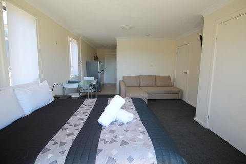 Poley Cow Studio - Seniors Australia 1