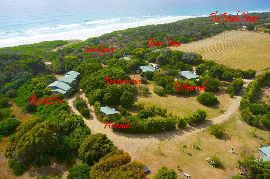 Friendly Beaches TAS Seniors Australia