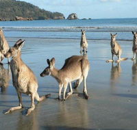 Seaforth Holiday Units - Seniors Australia