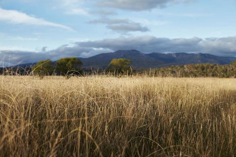 Second Flat Retreat - Seniors Australia 2