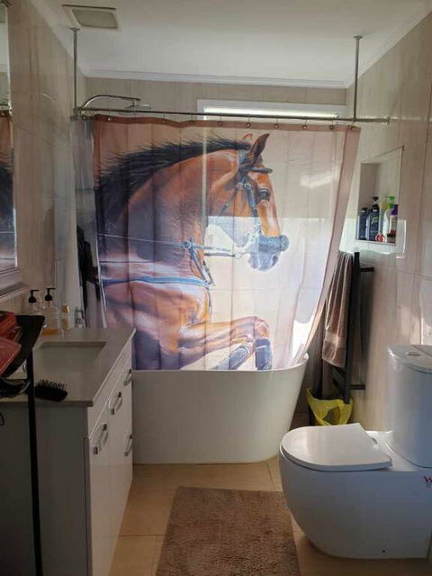 Silverbirch Cottage - Seniors Australia 3