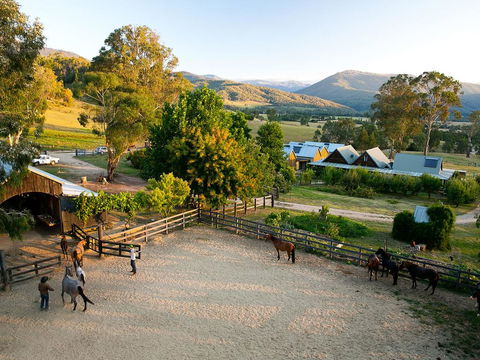 Spring Spur - Seniors Australia 3