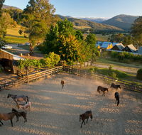 Spring Spur - Seniors Australia