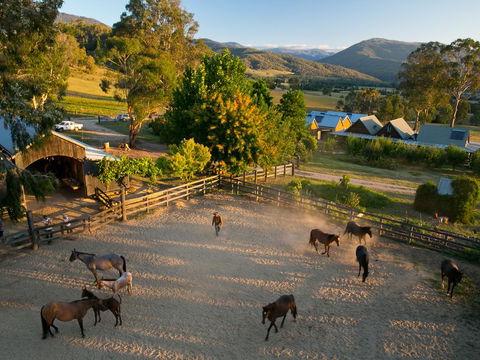 Spring Spur - Seniors Australia 0