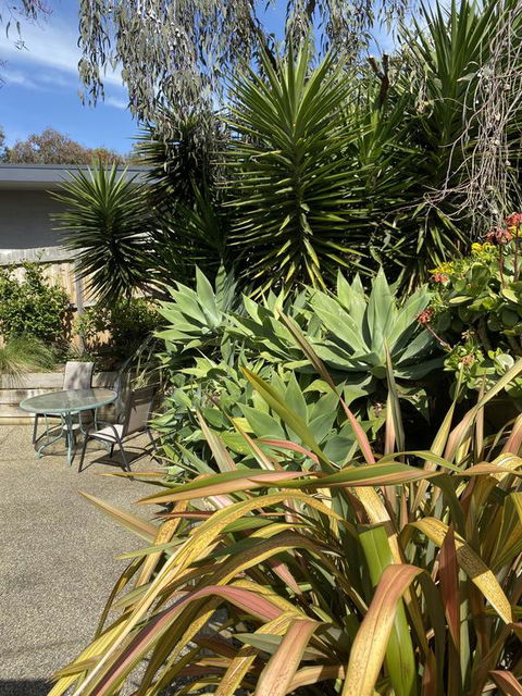Surf Coast Haven - Seniors Australia 3
