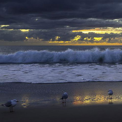 Surfers Horizons - Seniors Australia 3