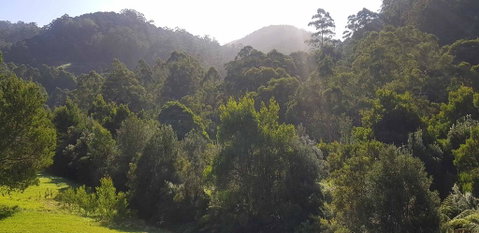 Tall Trees Retreat - Seniors Australia 1