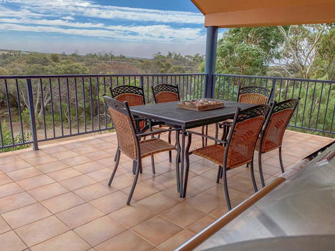 The Curly Seahorse - Seniors Australia 2