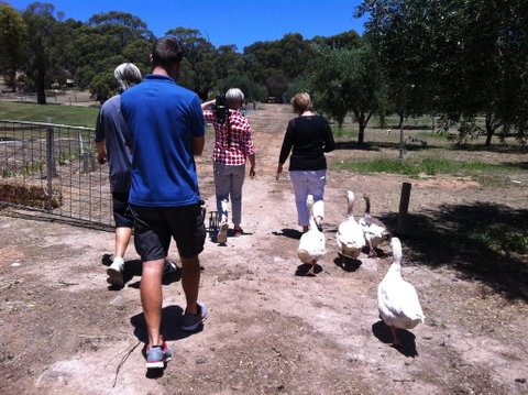 The Farm Willunga - Seniors Australia 1