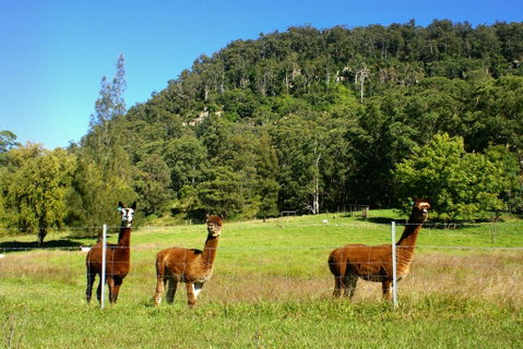 The Heavens Mountain Escape - Seniors Australia 2