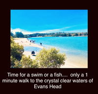 The Lazy Llama - Seniors Australia