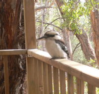 The Ledge Holiday House - Seniors Australia