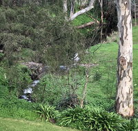 The Miners Cottage Barossa - Seniors Australia