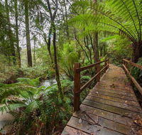 The Source Otways - Seniors Australia