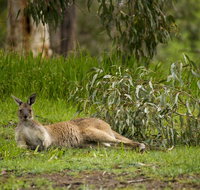 The Stirling Golf Club - Seniors Australia