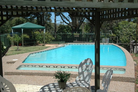 The Tree Motel - Seniors Australia 0