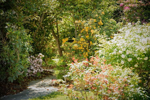 The White House - Seniors Australia 2