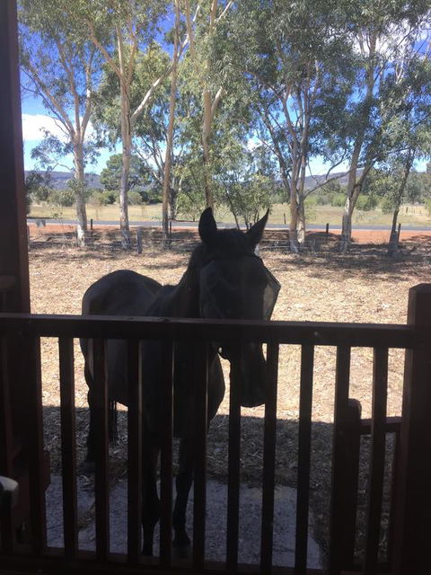Thie My Chree Retreat - Seniors Australia 3