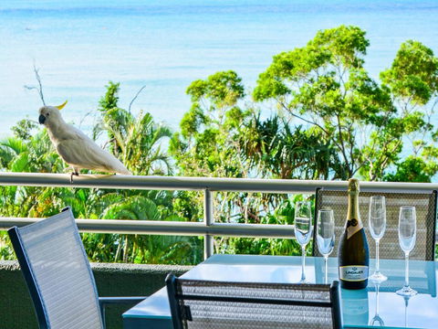 Top Floor Hibiscus Apartment 208 - Seniors Australia 3