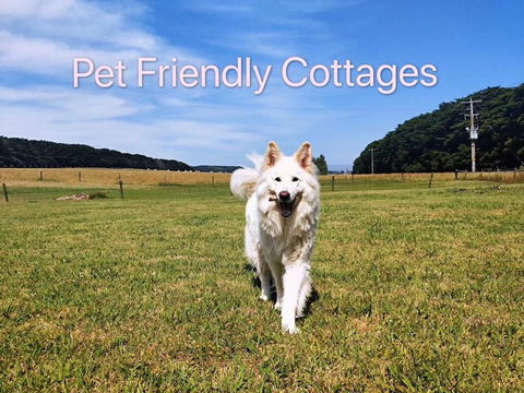 Twelve Apostles Motel & Country Retreat - Seniors Australia 2