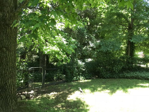 Tyntynder Garden Cottage 4 - Seniors Australia 2