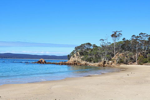 Whale Cove Circuit - Seniors Australia 1