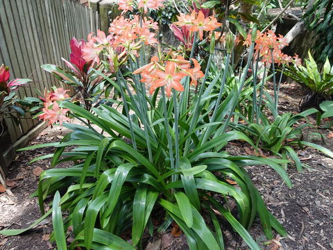 Winston Cottage - Seniors Australia 2