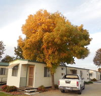 Wodonga Caravan  Cabin Park - Seniors Australia