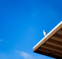 Wye Not Escape - Seniors Australia