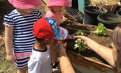Five Star Family Day Care - Seniors Australia 3