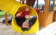 Elite Edge Sports & Learning Centre - thumb 1