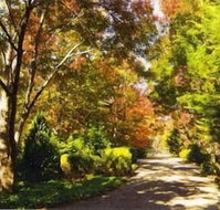 Chalets Lumineux - Seniors Australia