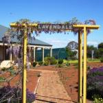 Mount Observation WA Seniors Australia