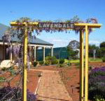 Lavendale Farmstay  Cottages York - Seniors Australia