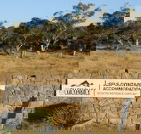 Ecocrackenback 13 'Sustainable chalet close to the slopes.' - Seniors Australia