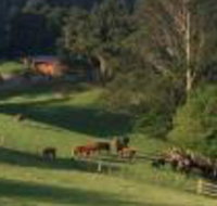 Amaroo Valley Springs - Seniors Australia
